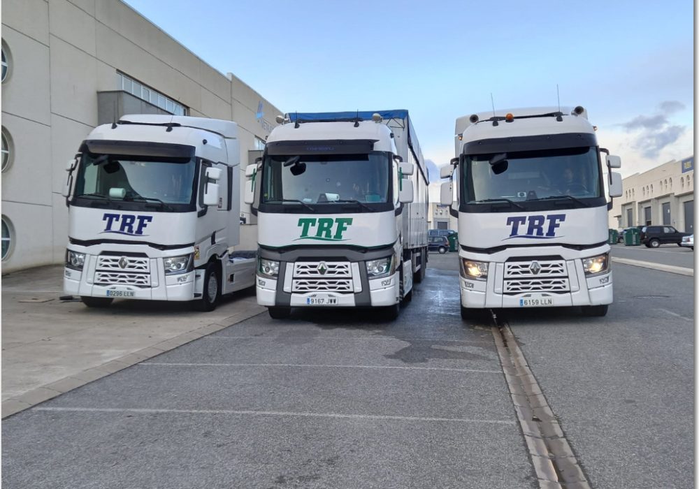 Foto 24-4-25, 19 04 01 (4)